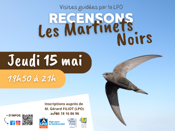 Visite guide - Recensons les Martinets Noirs Environnement RDV sur le parking d'Amisio
