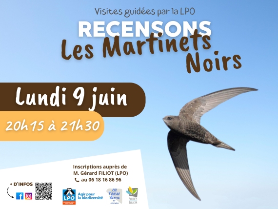 Visite guide - Recensons les Martinets Noirs Environnement RDV sur le parking d'Amisio