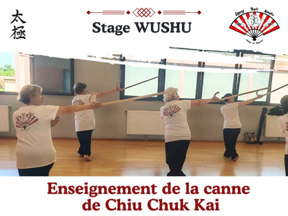 Stage Wushu