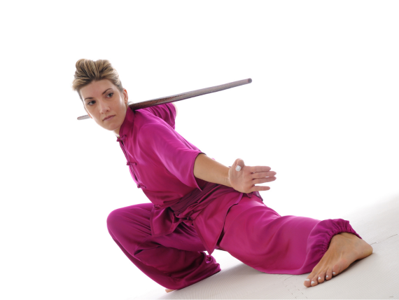 Stage de Canne Wushu Association 