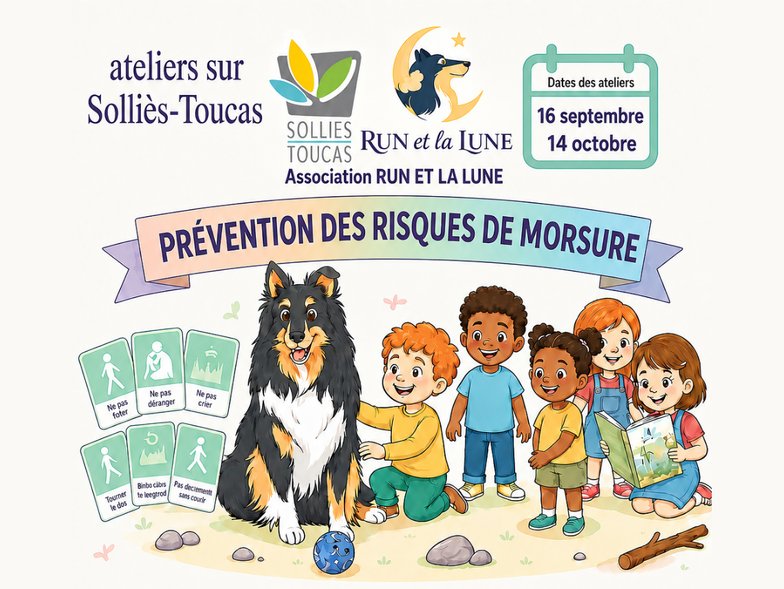 Atelier médiation animale Association