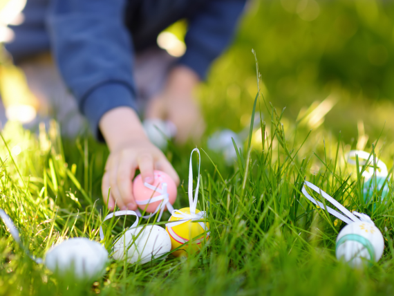 Chasse aux oeufs