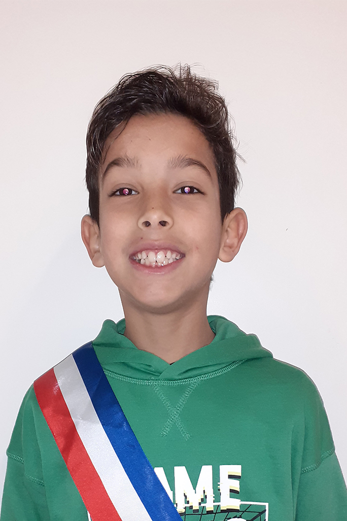 Ilies SMADHI
