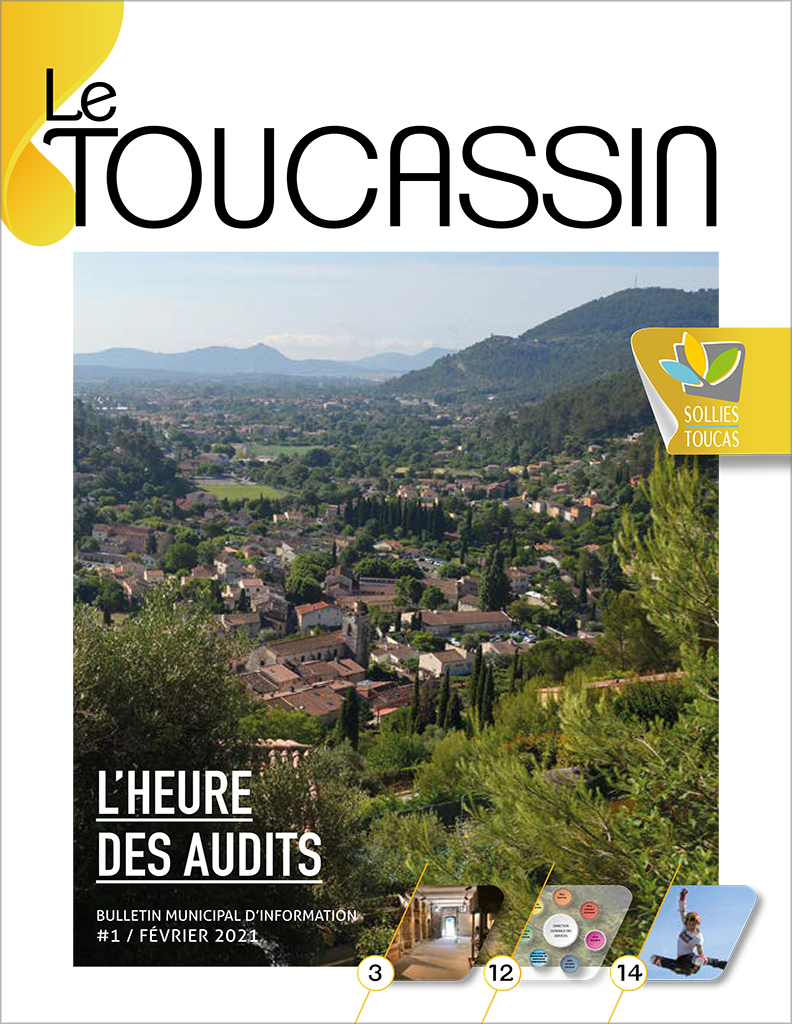 Le Toucassin #1