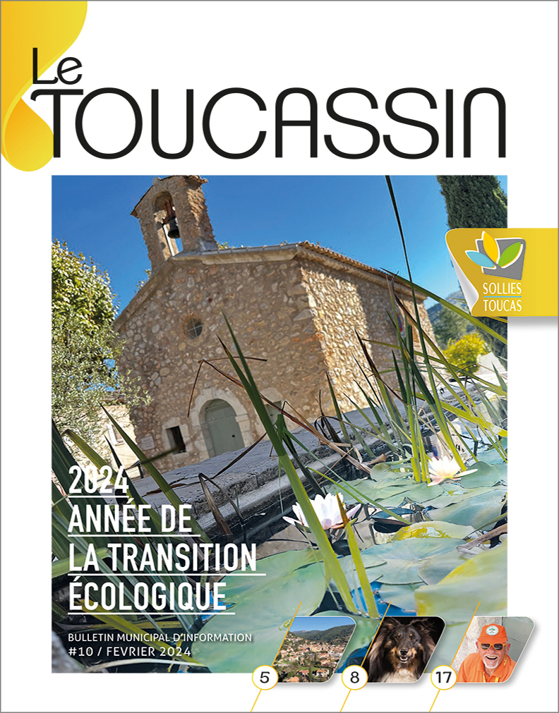 Le Toucassin#10