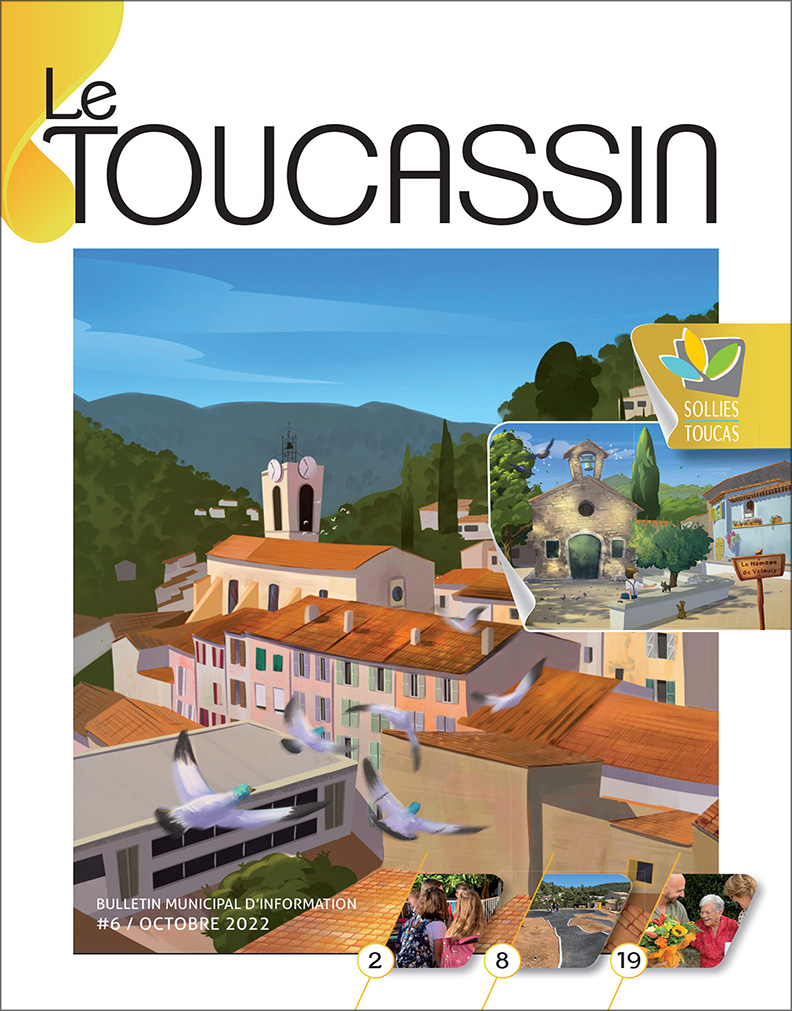 Toucassin n°6