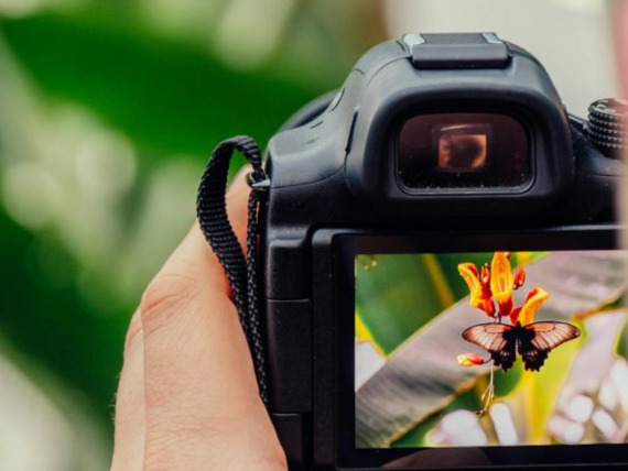 Concours photos 2026