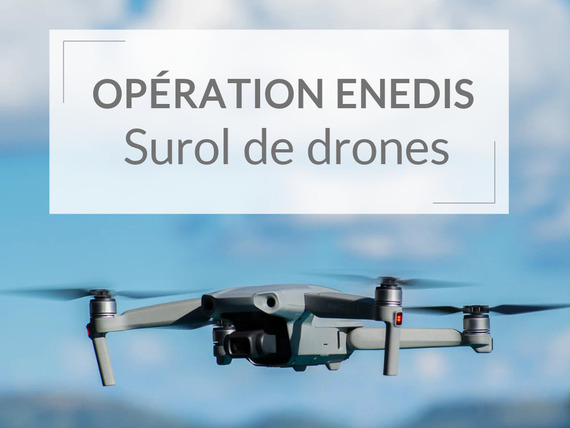 Surveillance du réseau électrique